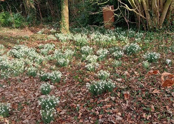 Bed & Breakfast Schuurtje Bij De Ijssel 3*