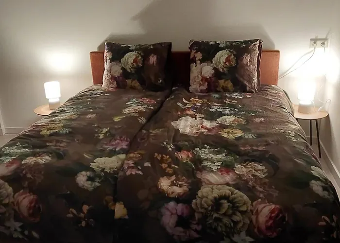 Schuurtje Bij De Ijssel